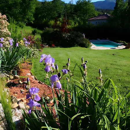 D'hote Avec Piscine